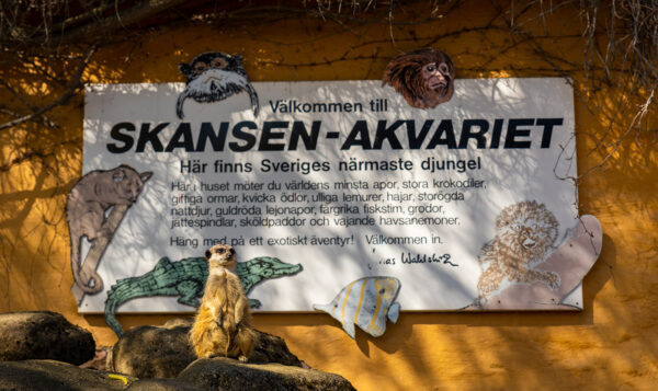 Akvariet Skylt