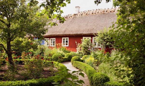 Skånegården trädgård på Skansen Foto: Marie Andersson