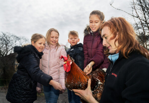 Skolvisning